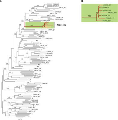 Characterization of HIV-1 CRF02_AG/A3/G unique recombinant forms identified among children in Larkana, Pakistan